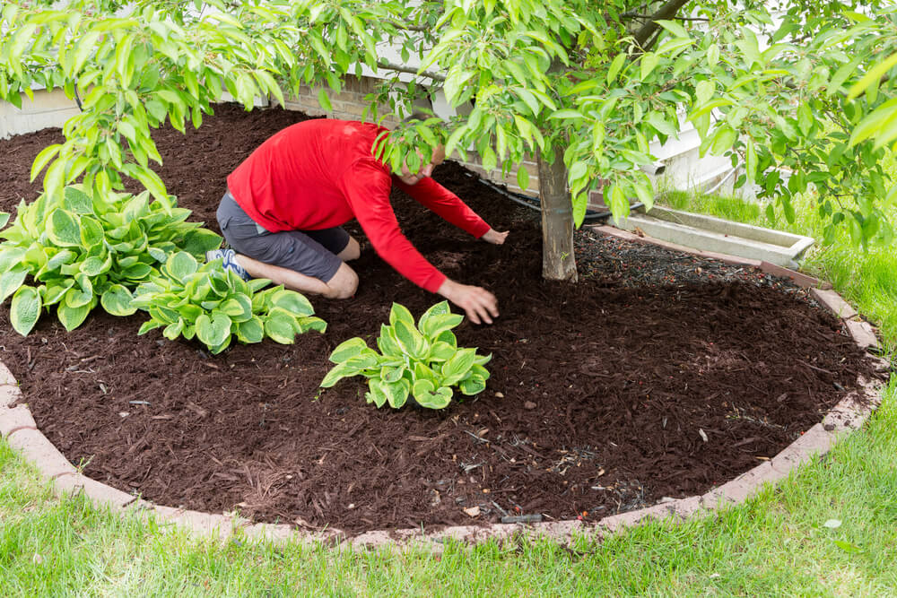 mulching services