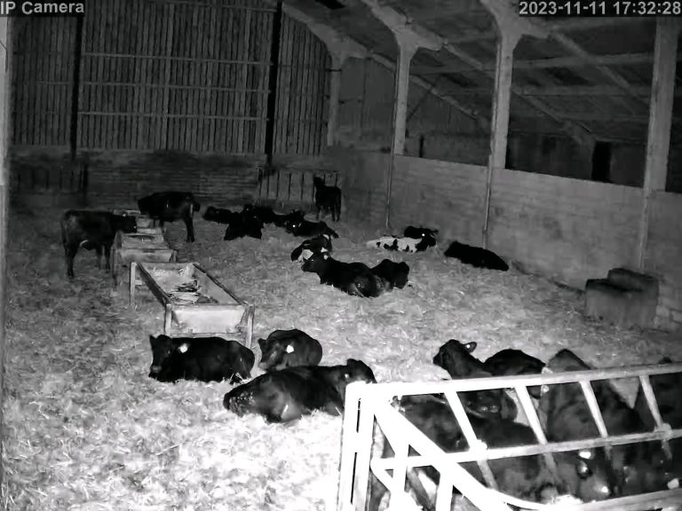 Farm Camera Buying Guide: Choose the Right Security for Your Land